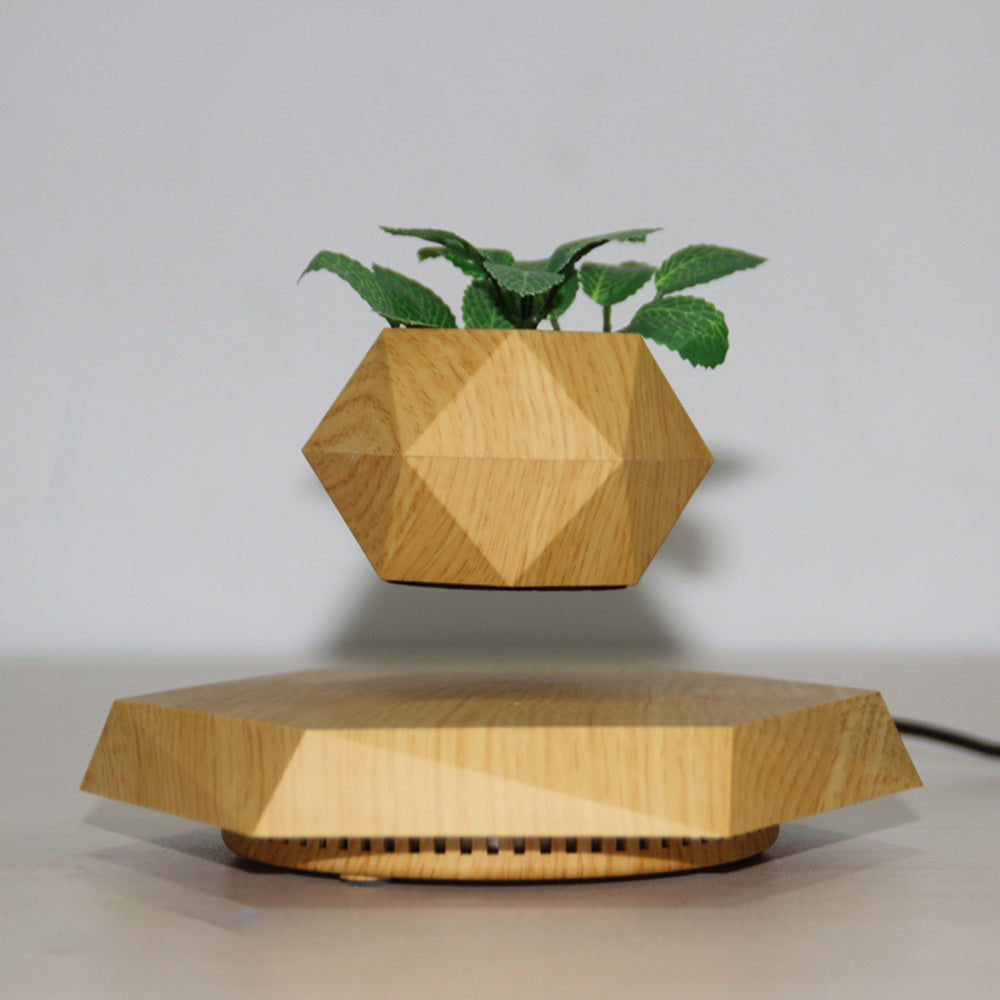 Levitating Floating Magnetic Flower Pot