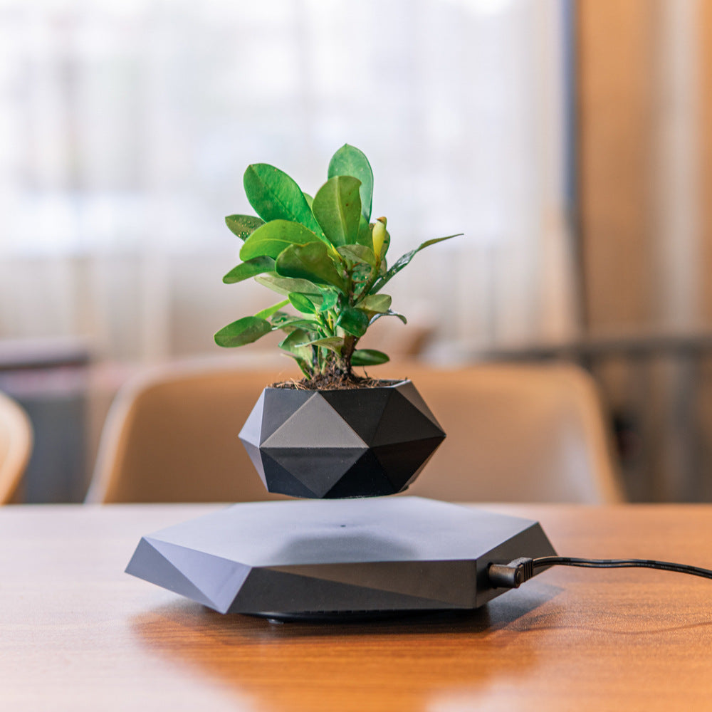 Levitating Floating Magnetic Flower Pot