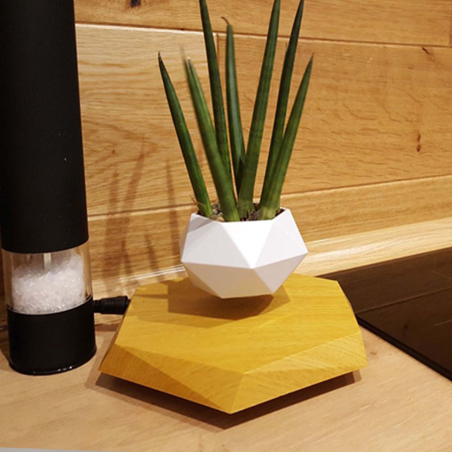 Levitating Floating Magnetic Flower Pot