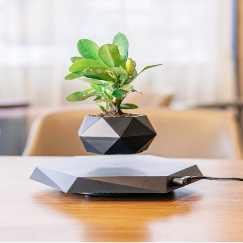 Levitating Floating Magnetic Flower Pot