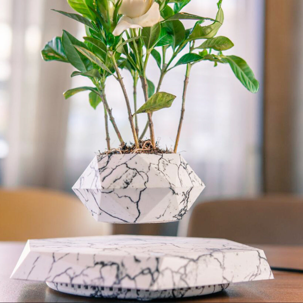 Levitating Floating Magnetic Flower Pot
