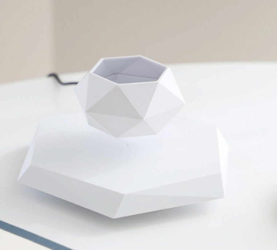 Levitating Floating Magnetic Flower Pot